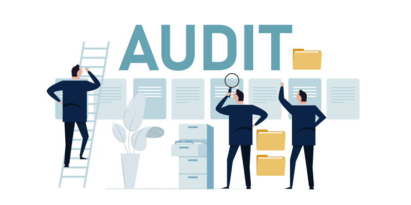 How to Conduct a Comprehensive Financial Audit of Your Company?