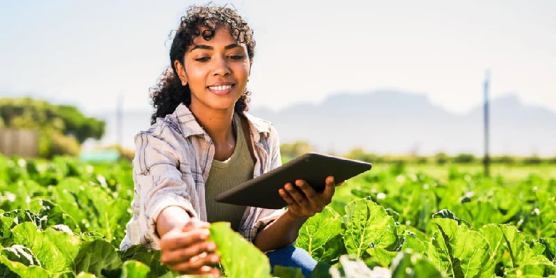 Agriculture and Farming Audit Procedure, Challenges, Best Practices, and Its Checklist