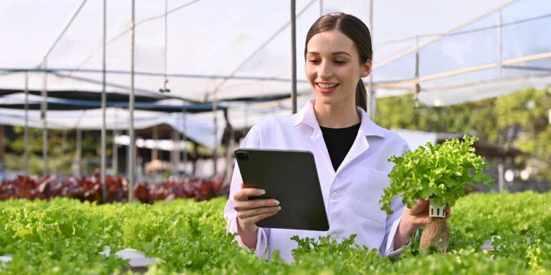 Maximizing Crop Yield: - How UrAudits Helps Identify and Address Issues Early