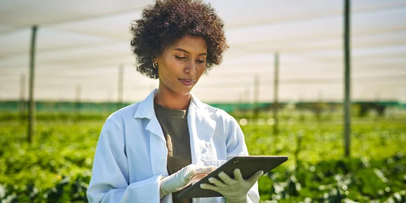 Maximizing Crop Yield: - How UrAudits Helps Identify and Address Issues Early