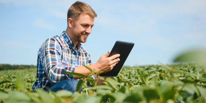 Maximizing Crop Yield: - How UrAudits Helps Identify and Address Issues Early
